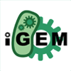 Alumnos de la ETSII hacen historia en una competici�n mundial del MIT sobre Biolog�a Sint�tica.